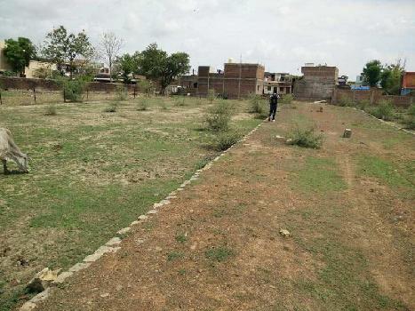7150 sq.ft Plot for Sale in Satna,Madhya Pradesh