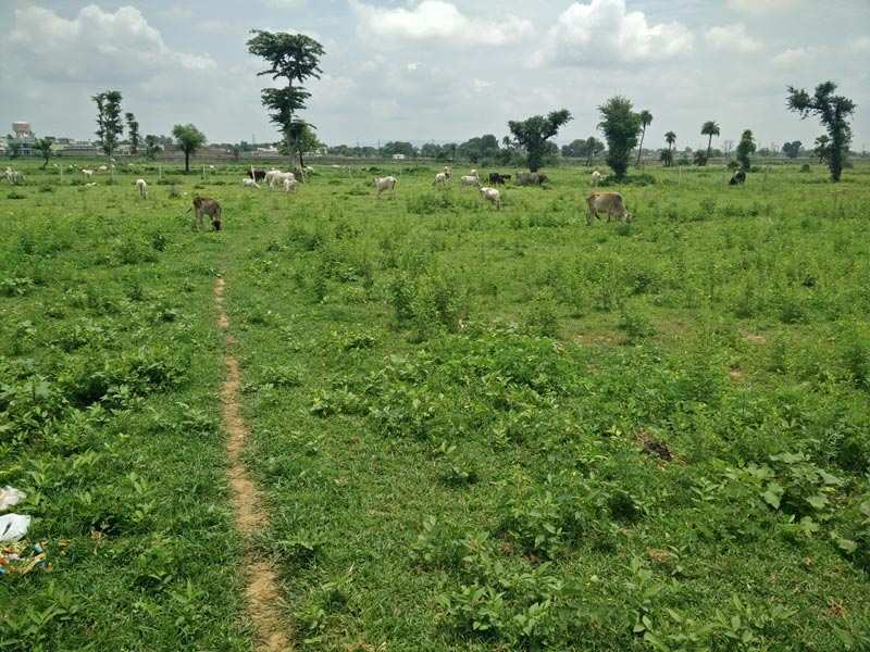Residential Plot for Sale In Panna Road, Satna