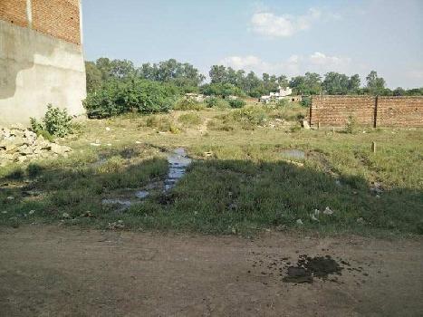 Residential Plot For Sale In Birla Road, Satna
