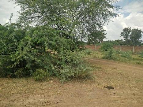 Residential Plot For Sale In Birla Road, Satna