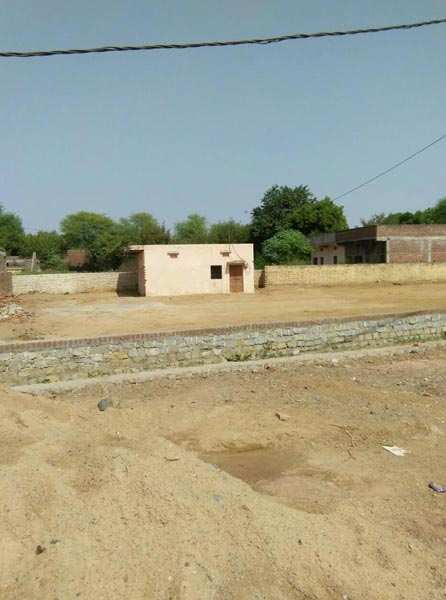 Residential Plot For Sale In Kripal Pur, Satna