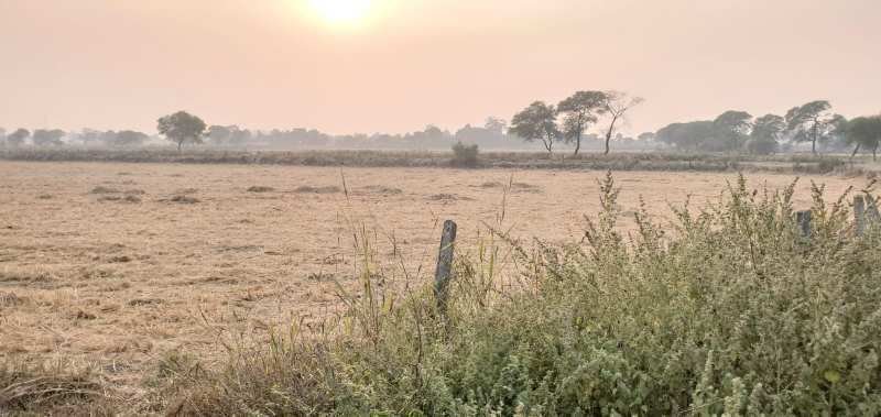 Agricultur land for sale at Jabalpur
