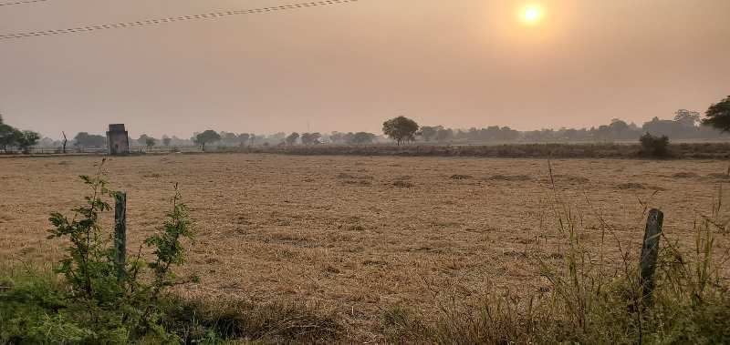 Agricultur land for sale at Jabalpur