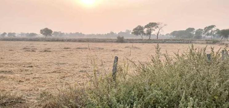 Agricultural Land For Sale near by JABALPUR CITY
