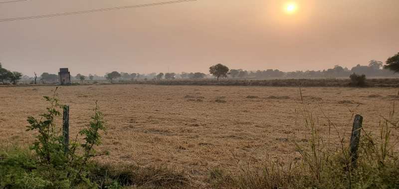 Agricultural Land For Sale near by JABALPUR CITY