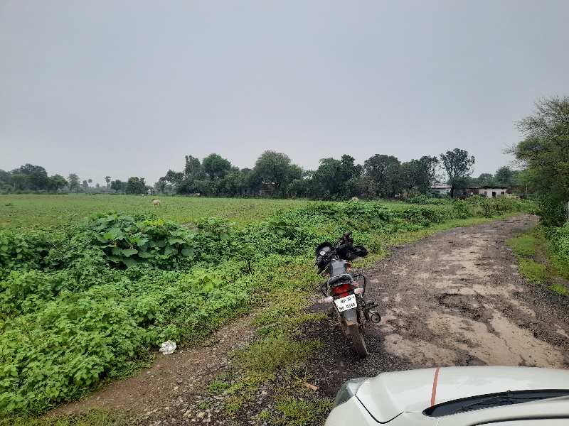 Agricultural land for sale at Lohraura, satna