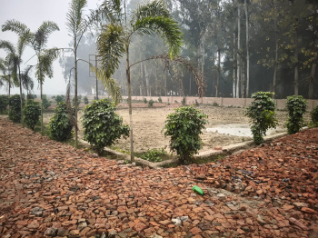 Property for sale in Brijghat, Amroha