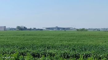 Residential Plot for Sale in Chakeri, Kanpur (100 Sq. Yards)