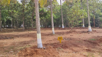 Property for sale in Thalli, Hosur