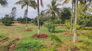 Property for sale in Thalli, Hosur