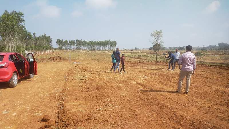 10000 Sq.ft. Agricultural/Farm Land for Sale in Thalli, Hosur