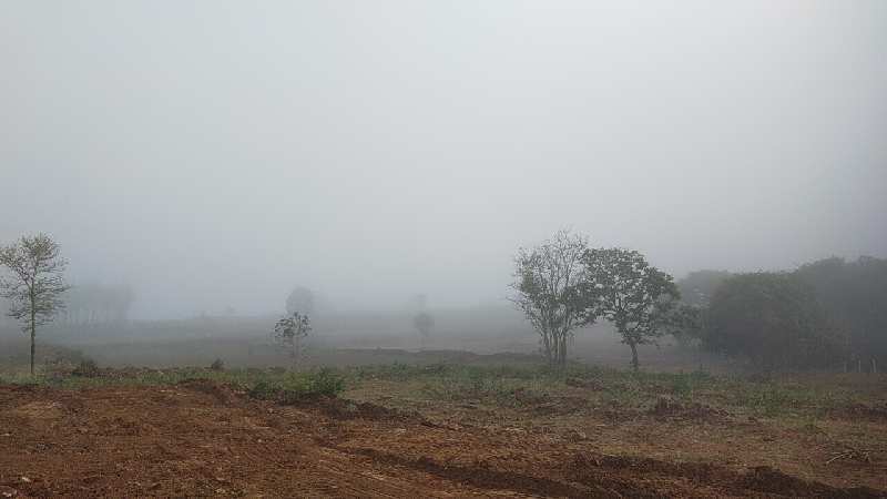 10000 Sq.ft. Agricultural/Farm Land for Sale in Thalli, Hosur