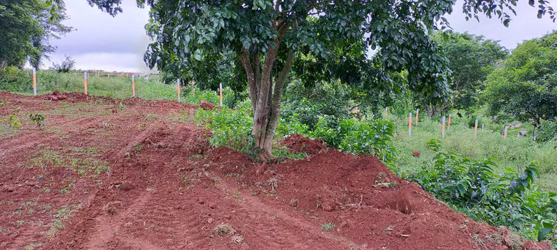 10890 Sq.ft. Agricultural/Farm Land for Sale in Thalli, Hosur