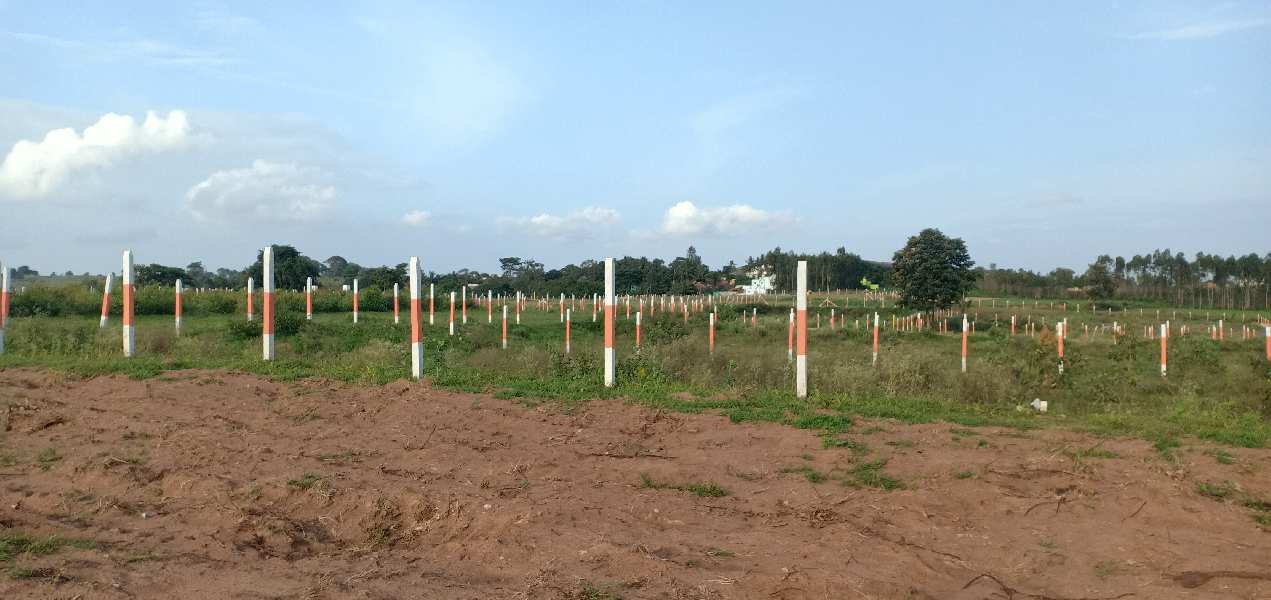 25 Cent Agricultural/Farm Land for Sale in Thalli, Hosur