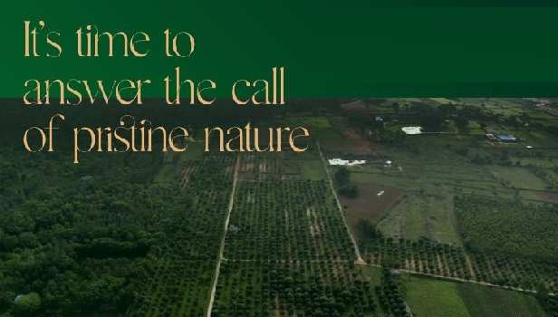 Property for sale in Denkanikottai, Krishnagiri