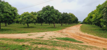 Property for sale in Denkanikottai, Krishnagiri