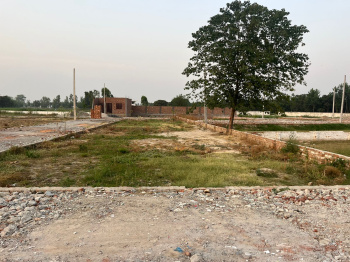 Property for sale in Denkanikottai, Krishnagiri