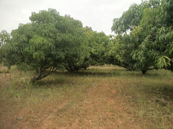 Property for sale in Thalli, Hosur
