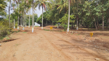 Property for sale in Denkanikottai, Hosur