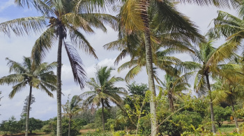 Property for sale in Denkanikottai, Hosur
