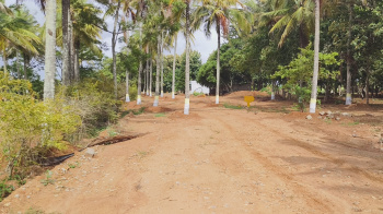 Property for sale in Denkanikottai, Hosur
