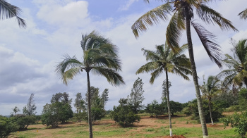 Property for sale in Denkanikottai, Hosur