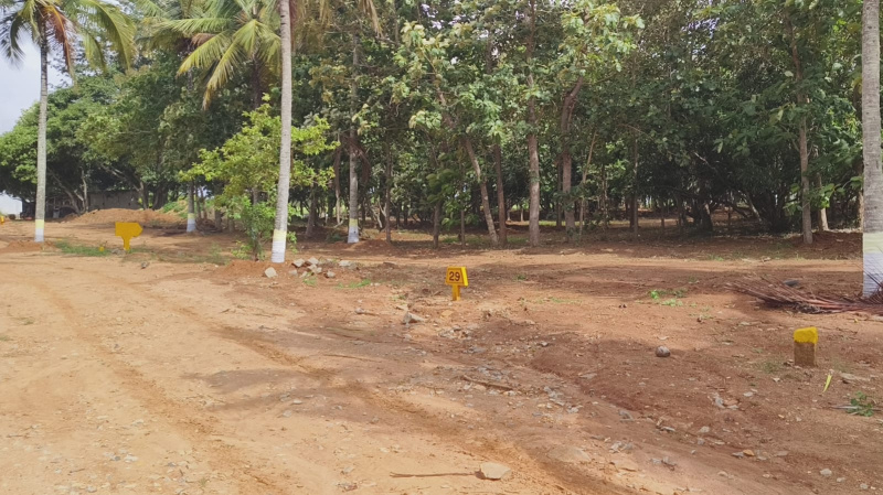 25 Cent Agricultural/Farm Land for Sale in Thalli, Hosur
