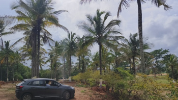 Property for sale in Thalli, Hosur