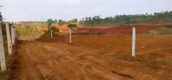 Property for sale in Denkanikottai, Hosur