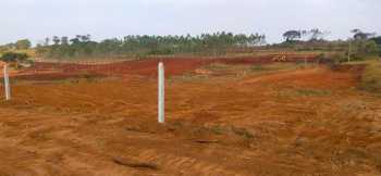 Property for sale in Denkanikottai, Hosur