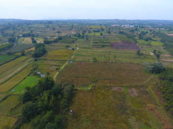 50 Cent Agricultural/Farm Land for Sale in Denkanikottai, Hosur