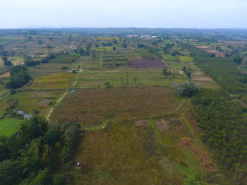 Property for sale in Denkanikottai, Hosur