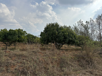 Property for sale in Denkanikottai, Krishnagiri