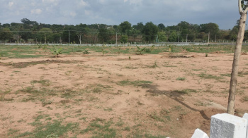 Property for sale in Thalli, Krishnagiri