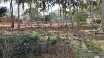 Property for sale in Thalli, Krishnagiri