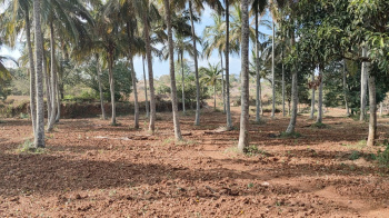 Property for sale in Thalli, Krishnagiri