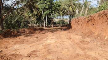 Property for sale in Thalli, Krishnagiri