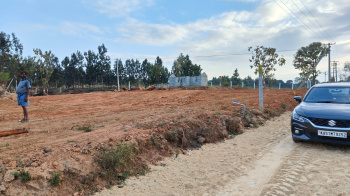 10890 Sq.ft. Agricultural/Farm Land for Sale in Thalli, Krishnagiri