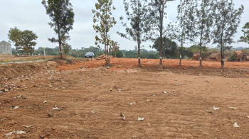 Property for sale in Thalli, Krishnagiri