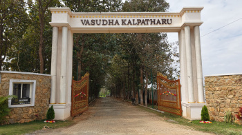 Agricultural/Farm Land for Sale in Denkanikottai, Hosur (10890 Sq.ft.)