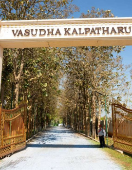 Agricultural/Farm Land for Sale in Denkanikottai, Krishnagiri (10890 Sq.ft.)