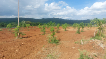 Agricultural/Farm Land for Sale in Ramanagara, Bangalore (6300 Sq.ft.)