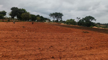 Agricultural/Farm Land for Sale in Denkanikottai, Krishnagiri (43560 Sq.ft.)