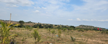 Agricultural/Farm Land for Sale in Denkanikottai, Krishnagiri (43560 Sq.ft.)