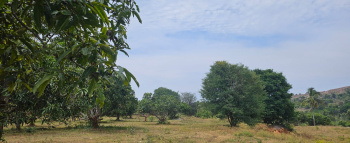 Agricultural/Farm Land for Sale in Denkanikottai, Krishnagiri (43560 Sq.ft.)