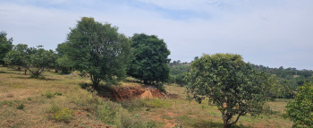 Property for sale in Denkanikottai, Krishnagiri