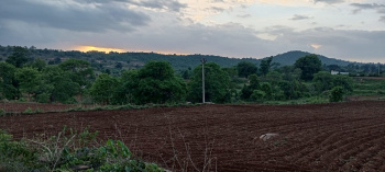 Agricultural/Farm Land for Sale in Denkanikottai, Krishnagiri (43560 Sq.ft.)