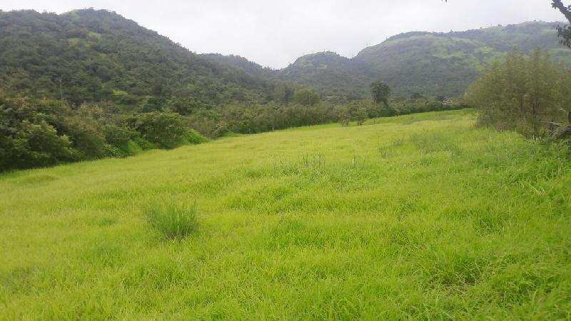 Agricultural/Farm Land for Sale in Lonavala, Pune (11000 Sq.ft.)