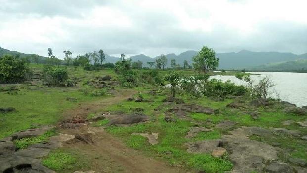 25-50 Acres land at Hadshi village @Pawana Lonavala