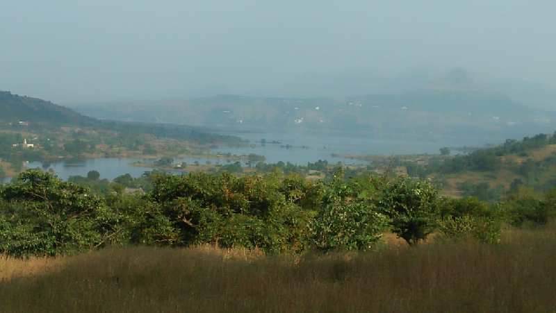 12 acre agricultural land for sale at Morva Pawana Lonavala